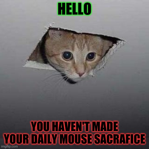 ceiling cat sacrafice | HELLO; YOU HAVEN'T MADE YOUR DAILY MOUSE SACRAFICE | image tagged in memes,ceiling cat | made w/ Imgflip meme maker