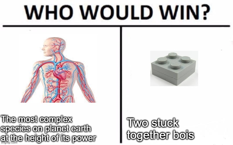 The worst thing of all our childhoods | The most complex species on planet earth at the height of its power; Two stuck together bois | image tagged in memes,who would win,lego | made w/ Imgflip meme maker