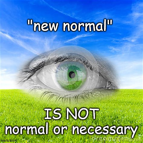 new normal not normal or necessary | "new normal"; IS NOT
normal or necessary | image tagged in covid-19 | made w/ Imgflip meme maker