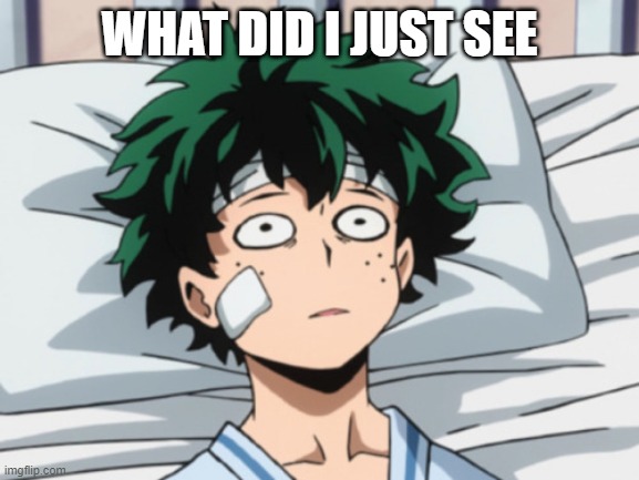 Deku is scarred | WHAT DID I JUST SEE | image tagged in deku is scarred | made w/ Imgflip meme maker