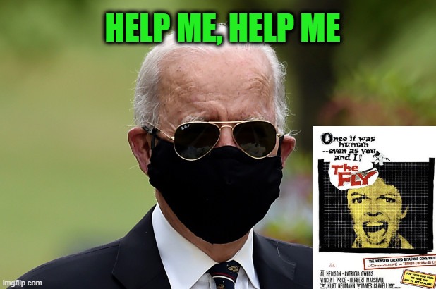 Metamorphosis | HELP ME, HELP ME | image tagged in joe biden,mask,the fly movie | made w/ Imgflip meme maker