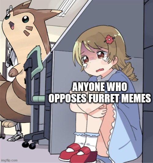 Furret will hunt you down | ANYONE WHO OPPOSES FURRET MEMES | image tagged in memes,pokemon | made w/ Imgflip meme maker
