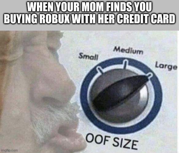 oof | WHEN YOUR MOM FINDS YOU BUYING ROBUX WITH HER CREDIT CARD | image tagged in oof size large | made w/ Imgflip meme maker