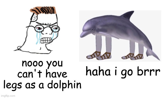 Never question the almighty Richard | nooo you can't have legs as a dolphin; haha i go brrr | image tagged in nooo haha go brrr,memes,religion,dolphin | made w/ Imgflip meme maker