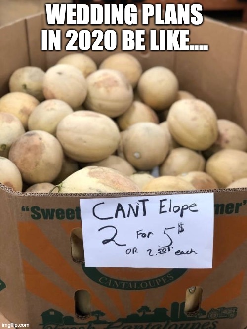 weddings 2020 | WEDDING PLANS IN 2020 BE LIKE.... | image tagged in dank memes | made w/ Imgflip meme maker