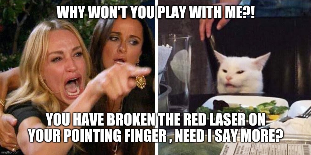 Smudge the cat | WHY WON'T YOU PLAY WITH ME?! YOU HAVE BROKEN THE RED LASER ON YOUR POINTING FINGER , NEED I SAY MORE? | image tagged in smudge the cat | made w/ Imgflip meme maker
