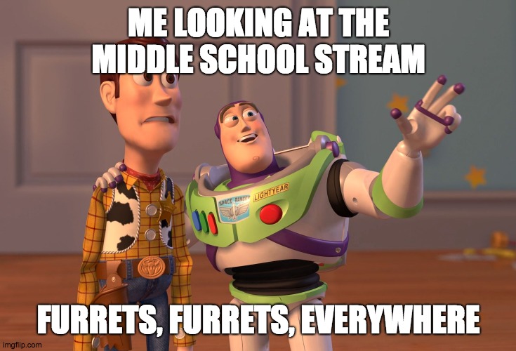 X, X Everywhere | ME LOOKING AT THE MIDDLE SCHOOL STREAM; FURRETS, FURRETS, EVERYWHERE | image tagged in memes,x x everywhere | made w/ Imgflip meme maker