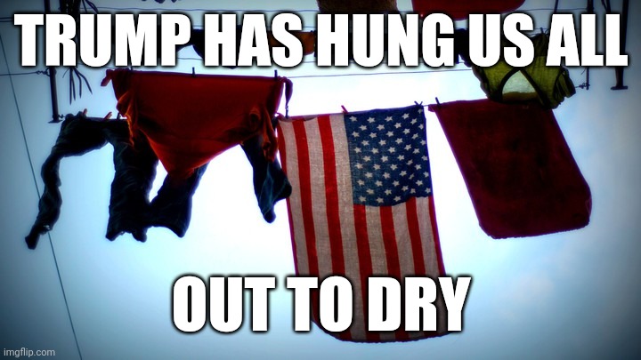 Cares more about twitter | TRUMP HAS HUNG US ALL; OUT TO DRY | image tagged in american flag,donald trump,united states | made w/ Imgflip meme maker