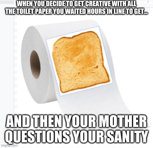 Wow | WHEN YOU DECIDE TO GET CREATIVE WITH ALL THE TOILET PAPER YOU WAITED HOURS IN LINE TO GET... AND THEN YOUR MOTHER QUESTIONS YOUR SANITY | image tagged in coronavirus meme | made w/ Imgflip meme maker