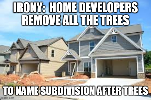 Saving the Trees | IRONY:  HOME DEVELOPERS REMOVE ALL THE TREES; TO NAME SUBDIVISION AFTER TREES | image tagged in homes,trees,development,irony | made w/ Imgflip meme maker