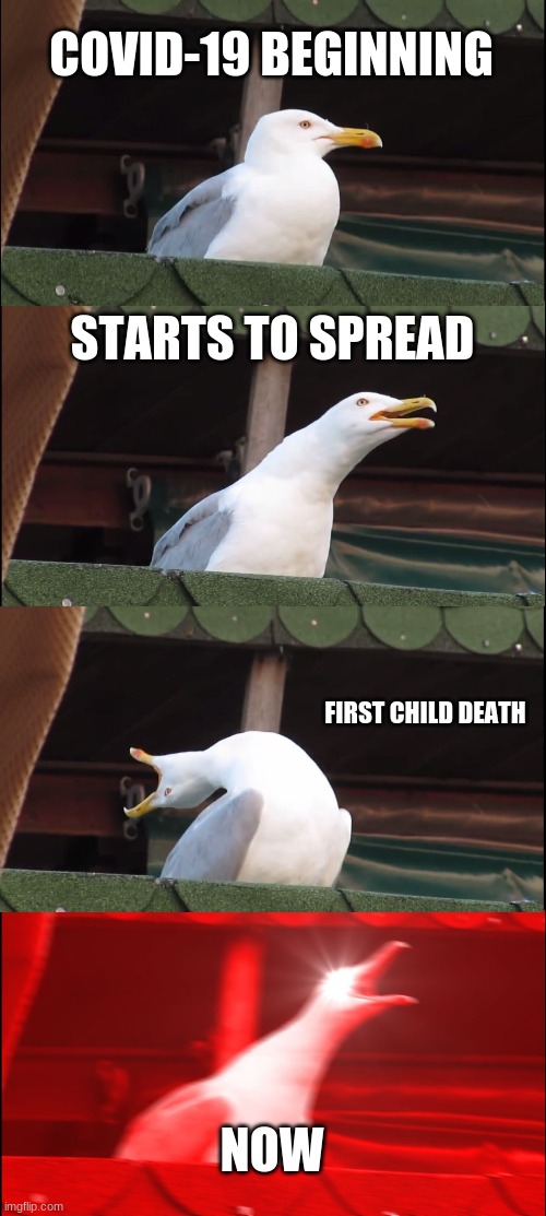 ... i don't know what to call this... ( ͡° ͜ʖ ͡°) | COVID-19 BEGINNING; STARTS TO SPREAD; FIRST CHILD DEATH; NOW | image tagged in memes,inhaling seagull,covid-19,coronavirus,its true tho | made w/ Imgflip meme maker