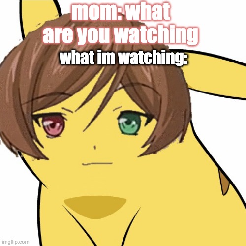 dont fkin ask | mom: what are you watching; what im watching: | image tagged in dont fkin ask | made w/ Imgflip meme maker