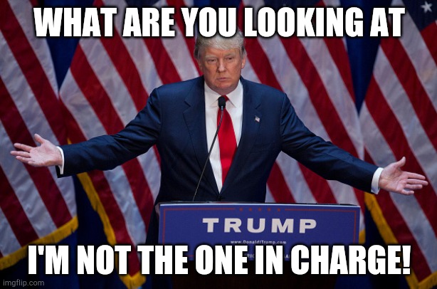 What are you looking at! | WHAT ARE YOU LOOKING AT; I'M NOT THE ONE IN CHARGE! | image tagged in donald trump | made w/ Imgflip meme maker