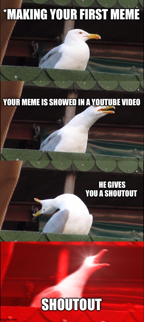 First meme | *MAKING YOUR FIRST MEME; YOUR MEME IS SHOWED IN A YOUTUBE VIDEO; HE GIVES YOU A SHOUTOUT; SHOUTOUT | image tagged in memes,inhaling seagull | made w/ Imgflip meme maker