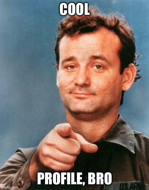 Bill Murray You're Awesome | COOL PROFILE, BRO | image tagged in bill murray you're awesome | made w/ Imgflip meme maker