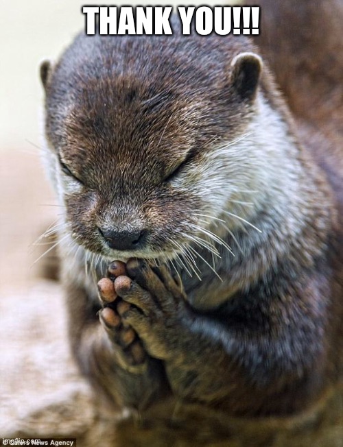 Thank you Lord Otter | THANK YOU!!! | image tagged in thank you lord otter | made w/ Imgflip meme maker