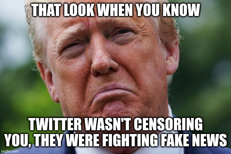 What there was a consequence, no matter how mild, for me lying??? | THAT LOOK WHEN YOU KNOW; TWITTER WASN'T CENSORING YOU, THEY WERE FIGHTING FAKE NEWS | image tagged in trump,humor,twitter,fake news,censorship,first amendment | made w/ Imgflip meme maker
