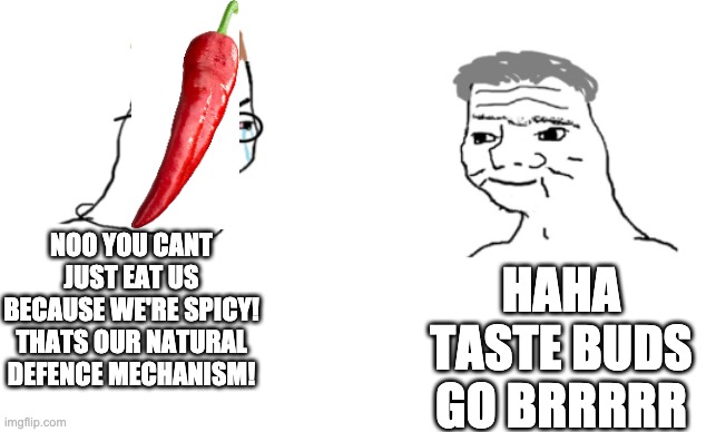poor peppers | HAHA TASTE BUDS GO BRRRRR; NOO YOU CANT JUST EAT US BECAUSE WE'RE SPICY! THATS OUR NATURAL DEFENCE MECHANISM! | image tagged in haha brrrrrrr,peppers,stop reading the tags,hello,earth to imgflipper,do you ever listen | made w/ Imgflip meme maker
