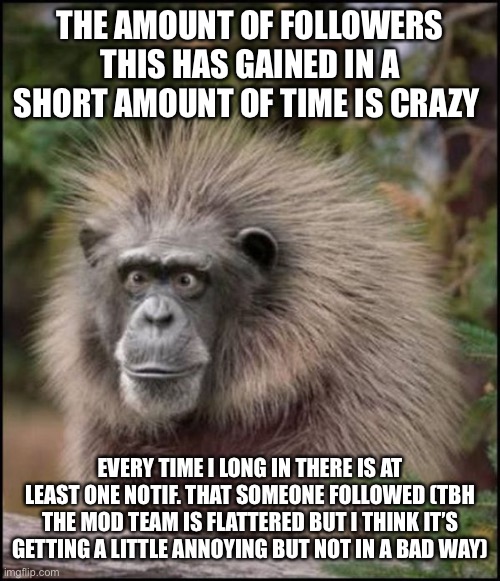 holy Sh*t monkey | THE AMOUNT OF FOLLOWERS THIS HAS GAINED IN A SHORT AMOUNT OF TIME IS CRAZY; EVERY TIME I LONG IN THERE IS AT LEAST ONE NOTIF. THAT SOMEONE FOLLOWED (TBH THE MOD TEAM IS FLATTERED BUT I THINK IT’S GETTING A LITTLE ANNOYING BUT NOT IN A BAD WAY) | image tagged in holy sht monkey | made w/ Imgflip meme maker