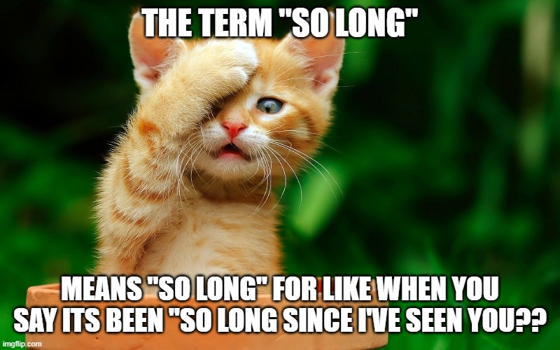 I JUST REALIZED | THE TERM "SO LONG"; MEANS "SO LONG" FOR LIKE WHEN YOU SAY ITS BEEN "SO LONG SINCE I'VE SEEN YOU?? | image tagged in i just realized | made w/ Imgflip meme maker
