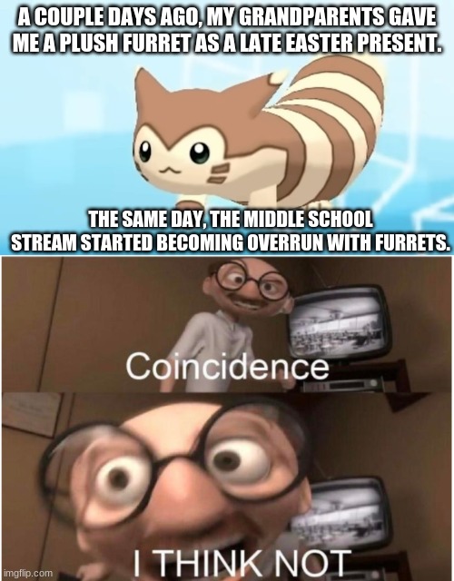 WHAT SORCERY IS THIS?! | A COUPLE DAYS AGO, MY GRANDPARENTS GAVE ME A PLUSH FURRET AS A LATE EASTER PRESENT. THE SAME DAY, THE MIDDLE SCHOOL STREAM STARTED BECOMING OVERRUN WITH FURRETS. | image tagged in coincidence i think not,furret walcc | made w/ Imgflip meme maker