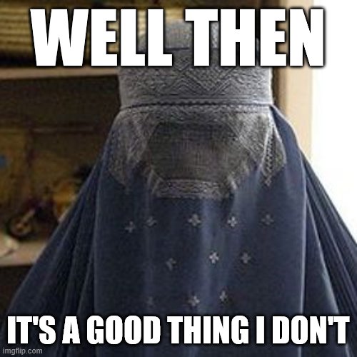 Why am I a Leftist hypocrite who claims to support women's rights and inequality while also supporting Sharia Law? Hmm. | WELL THEN IT'S A GOOD THING I DON'T | image tagged in oppressed-burqajpg,sharia law,feminism,liberal hypocrisy,equal rights,womens rights | made w/ Imgflip meme maker