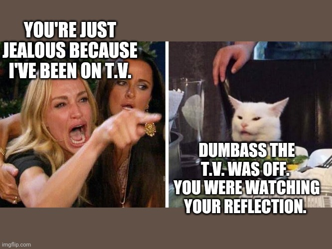 Smudge the cat | YOU'RE JUST JEALOUS BECAUSE I'VE BEEN ON T.V. DUMBASS THE T.V. WAS OFF.  YOU WERE WATCHING YOUR REFLECTION. | image tagged in smudge the cat | made w/ Imgflip meme maker