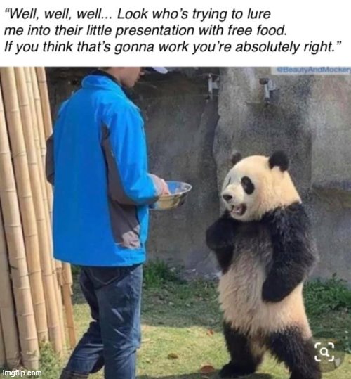 Law students cannot resist free food. | image tagged in repost,reposts,panda,school,food,funny | made w/ Imgflip meme maker