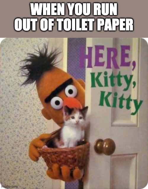 Here kittty kitty | WHEN YOU RUN OUT OF TOILET PAPER | image tagged in hello kitty | made w/ Imgflip meme maker