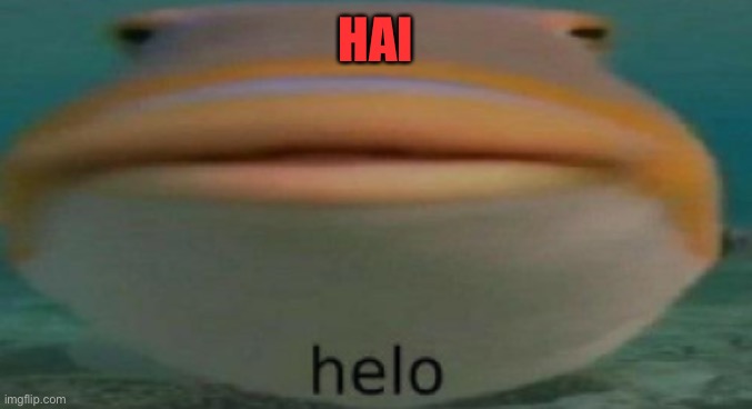 helo | HAI | image tagged in helo | made w/ Imgflip meme maker