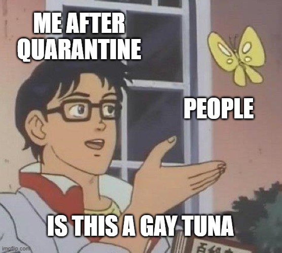 Is This A Pigeon | ME AFTER QUARANTINE; PEOPLE; IS THIS A GAY TUNA | image tagged in memes,is this a pigeon | made w/ Imgflip meme maker