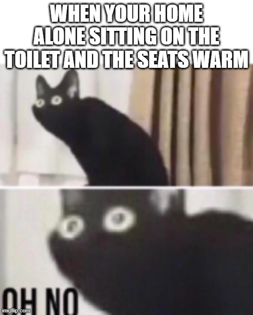 Oh no cat | WHEN YOUR HOME ALONE SITTING ON THE TOILET AND THE SEATS WARM | image tagged in oh no cat | made w/ Imgflip meme maker