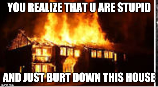 First time buying your own house | YOU REALIZE THAT U ARE STUPID; AND JUST BURT DOWN THIS HOUSE | image tagged in fire,house | made w/ Imgflip meme maker