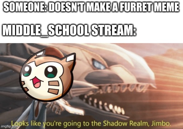 So. Much. Furret! | SOMEONE: DOESN'T MAKE A FURRET MEME; MIDDLE_SCHOOL STREAM: | image tagged in looks like youre going to the shadow realm jimbo | made w/ Imgflip meme maker