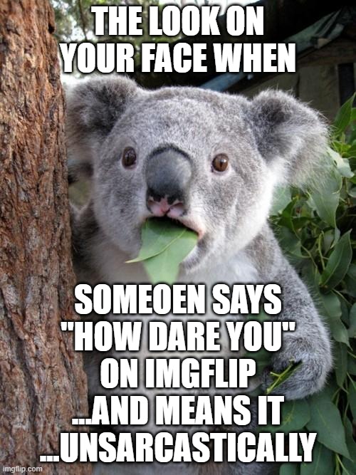 Calm your chi-chis, karen | THE LOOK ON YOUR FACE WHEN; SOMEOEN SAYS "HOW DARE YOU" ON IMGFLIP ...AND MEANS IT ...UNSARCASTICALLY | image tagged in memes,surprised koala,hurt feelings,sarcasm,how dare you | made w/ Imgflip meme maker