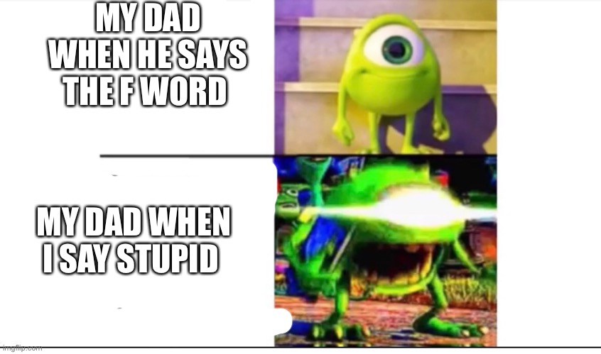 MY DAD WHEN HE SAYS THE F WORD; MY DAD WHEN I SAY STUPID | image tagged in parents | made w/ Imgflip meme maker
