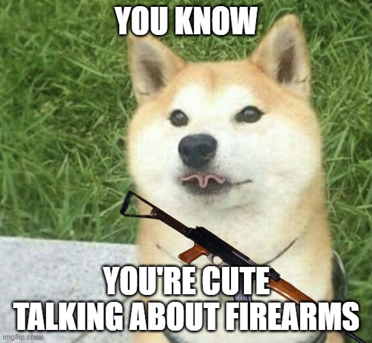 Doggo say coot | YOU KNOW; YOU'RE CUTE TALKING ABOUT FIREARMS | image tagged in firearms,guns,dogs,cute,flirt,ak47 | made w/ Imgflip meme maker