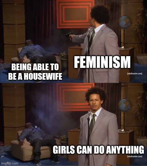 Who Killed Hannibal | FEMINISM; BEING ABLE TO BE A HOUSEWIFE; GIRLS CAN DO ANYTHING | image tagged in memes,who killed hannibal | made w/ Imgflip meme maker