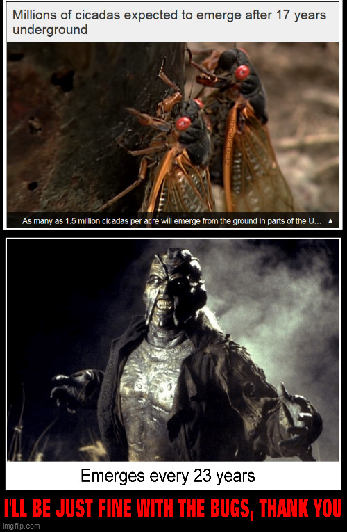 image tagged in cicadas,bugs,jeepers creepers,insects,creeper,horror movie | made w/ Imgflip meme maker