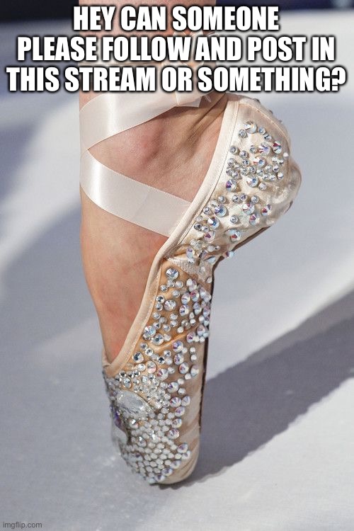 Those shoes are GORGEOUS | HEY CAN SOMEONE PLEASE FOLLOW AND POST IN THIS STREAM OR SOMETHING? | image tagged in ballet | made w/ Imgflip meme maker