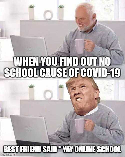 Meme school online meme | WHEN YOU FIND OUT NO SCHOOL CAUSE OF COVID-19; BEST FRIEND SAID " YAY ONLINE SCHOOL | image tagged in memes,hide the pain harold | made w/ Imgflip meme maker