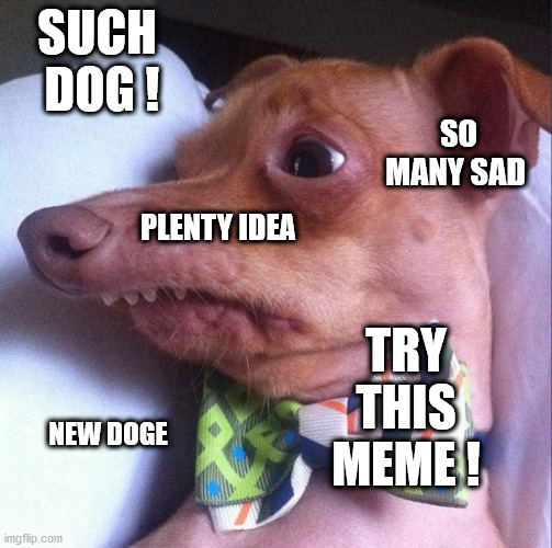 Tuna the dog (Phteven) | SUCH  DOG ! SO MANY SAD TRY THIS MEME ! NEW DOGE PLENTY IDEA | image tagged in tuna the dog phteven | made w/ Imgflip meme maker