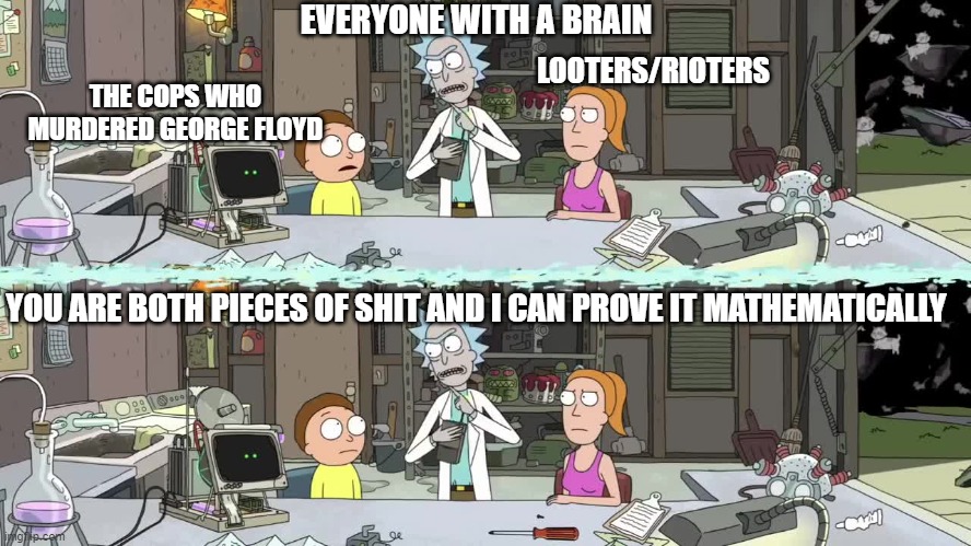 George Floyd Murder | EVERYONE WITH A BRAIN; LOOTERS/RIOTERS; THE COPS WHO MURDERED GEORGE FLOYD; YOU ARE BOTH PIECES OF SHIT AND I CAN PROVE IT MATHEMATICALLY | image tagged in rick and morty,you are both pieces of shit,looting,rioting,police brutality | made w/ Imgflip meme maker