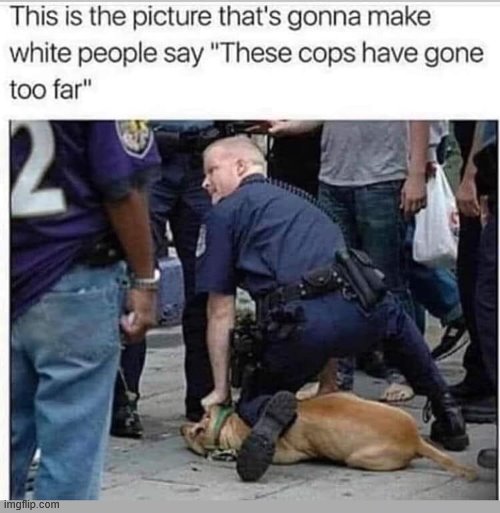 no no no plz get a crime person (black) | image tagged in repost,white people,white privilege,racist,racism,political humor | made w/ Imgflip meme maker