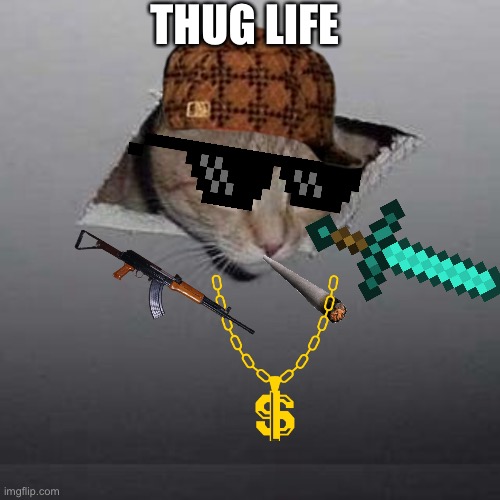 Ceiling Cat | THUG LIFE | image tagged in memes,ceiling cat | made w/ Imgflip meme maker