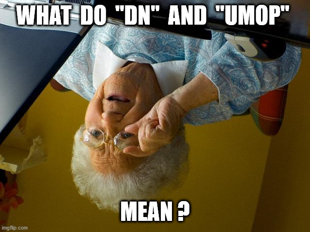 Grandma Finds The Internet Meme | WHAT  DO  "DN"  AND  "UMOP" MEAN ? | image tagged in memes,grandma finds the internet | made w/ Imgflip meme maker