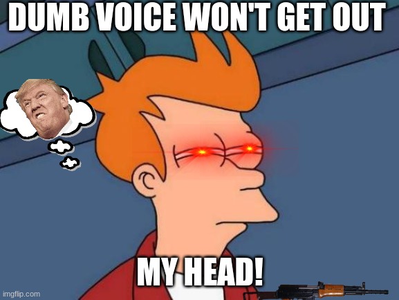 little help!?! | DUMB VOICE WON'T GET OUT; MY HEAD! | image tagged in memes,futurama fry | made w/ Imgflip meme maker