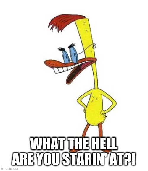 Duckman Ranting | WHAT THE HELL ARE YOU STARIN' AT?! | image tagged in duckman ranting | made w/ Imgflip meme maker