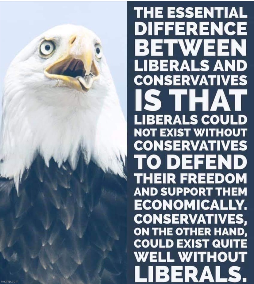 “You know it, I know it, everybody knows it.” | image tagged in maga | made w/ Imgflip meme maker