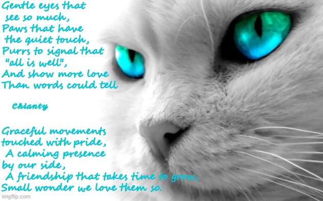 Gentle | Gentle eyes that
 see so much,
Paws that have
 the quiet touch,
Purrs to signal that
 "all is well", 
And show more love
Than words could tell; Graceful movements touched with pride,
 A calming presence by our side,
 A friendship that takes time to grow,
Small wonder we love them so. 𝓒𝓱𝓲𝓪𝓷𝓽𝔂 | image tagged in friendship | made w/ Imgflip meme maker